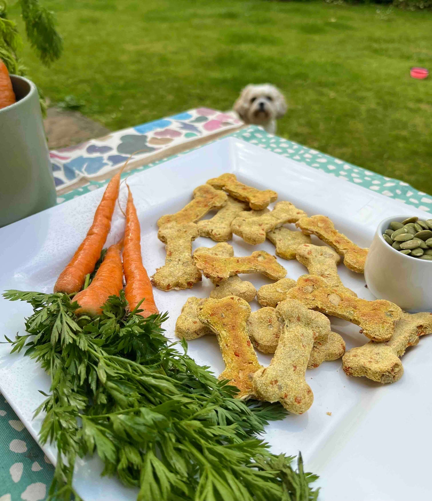NEW Chunky Organic Dog Biscuits