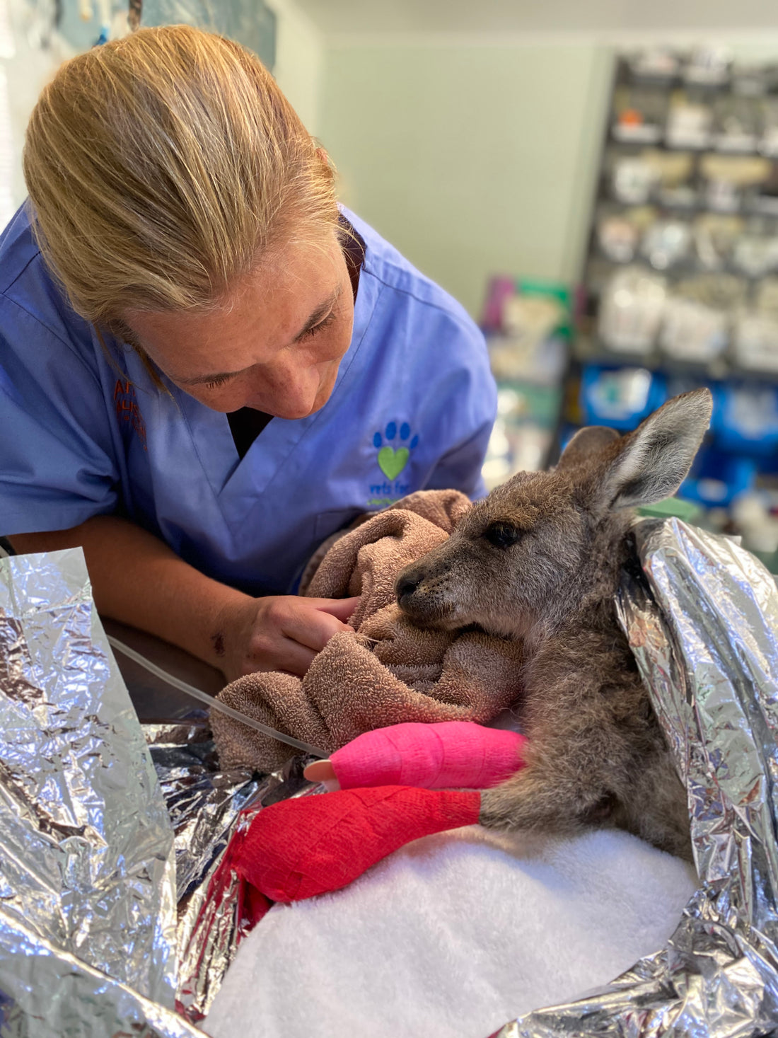 This baby kangaroo is named Hope. For good reason...