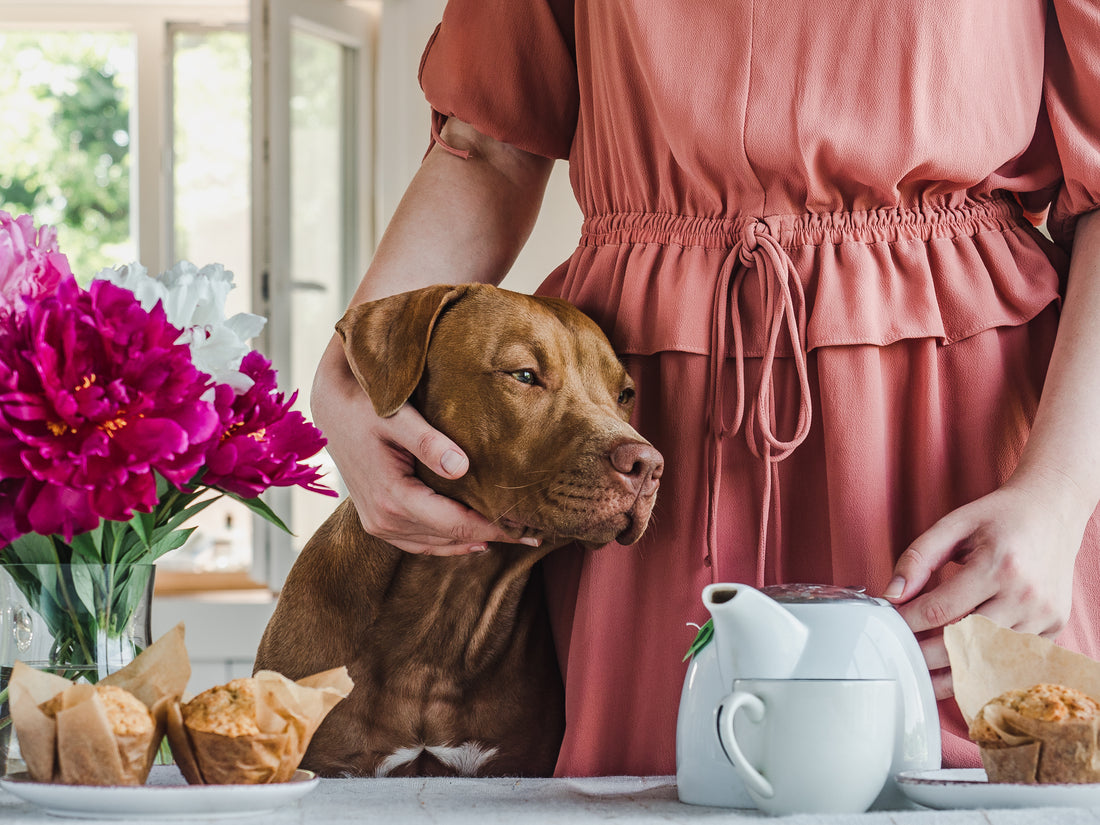 Unleashing Happiness: 5 Reasons Why Baking Your Own Dog Treats at Home is Pawsitively the Best Choice 🐾🍪