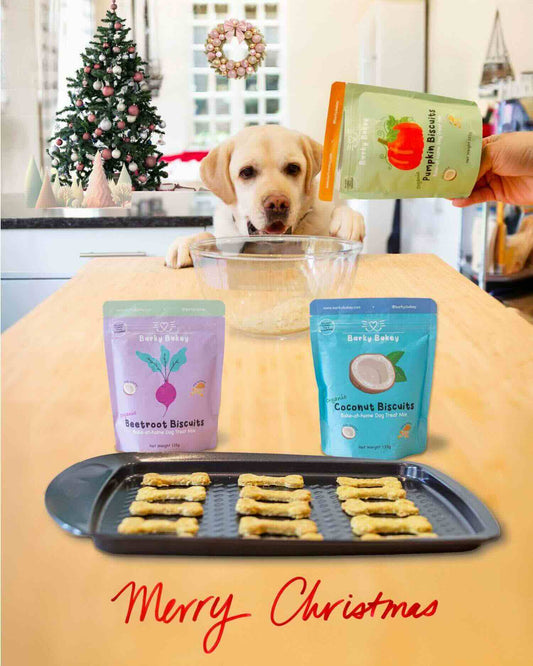 🎄 Christmas Gift Pack (4 Mixes) 🎁