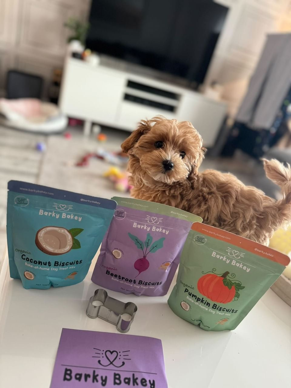 : 🎉 Starter Pack - All 3 Flavours + Free Cookie Cutter