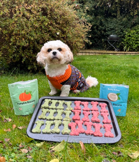 RED & GREEN Christmas Dog Treats